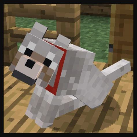 Wolves Wiki Minecraft Amino