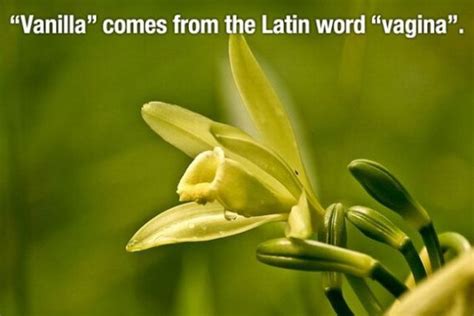 Interesting Facts (52 pics)