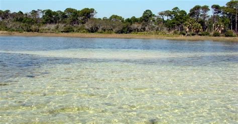 8 Things To Do Near Beautiful St Josephs Bay Florida Sb Getaways