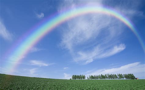 Online Crop Landscape Photography Of Rainbow And Green Field Hd