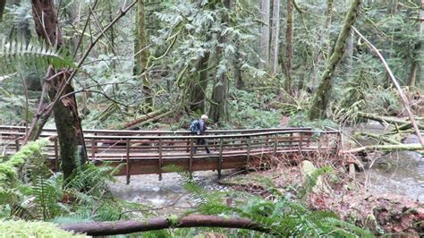 Big Tree Trail — Washington Trails Association