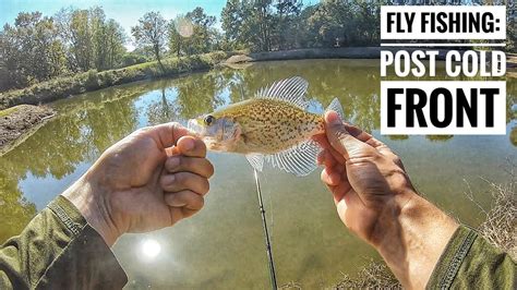 Fly Fishing After Cold Front Youtube