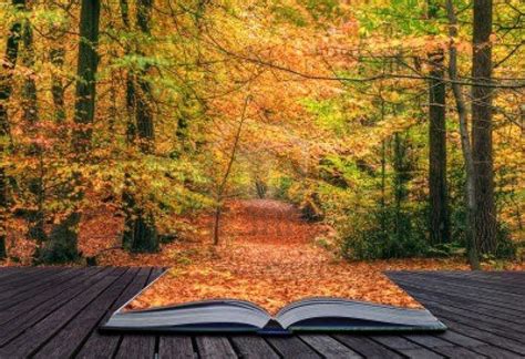 Creative Concept Idea Of Beautiful Autumn Fall Forest Scene With