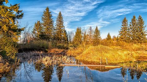 Download Wallpaper 2560x1440 Lake Forest Trees Autumn Widescreen 16