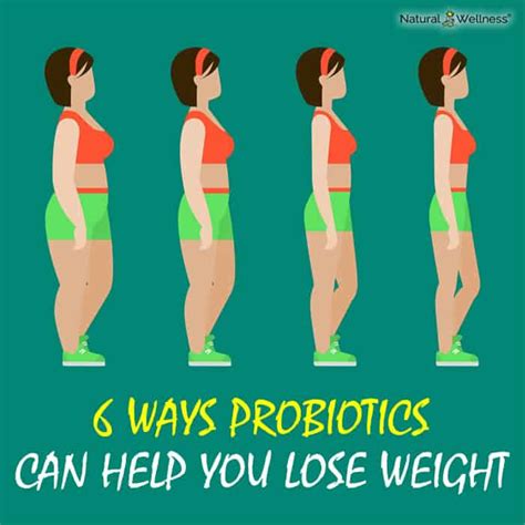 probiotics can help you lose weight