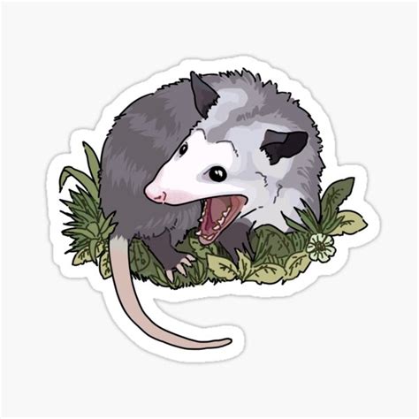Screaming Possum Sticker For Sale By Lemongu Redbubble