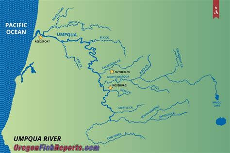 Umpqua River Fish Reports And Map