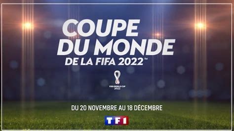Coupe Du Monde 2022 Combien Vont Toucher Les Bleus En Cas De Victoire
