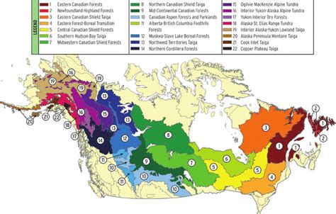 Wwf Ecoregions Of The North American Boreal Forest