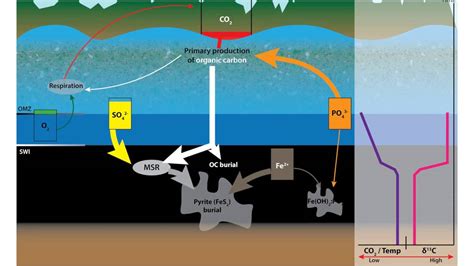 Ocean Anoxia Animation Non Sulfate Limited Case Youtube