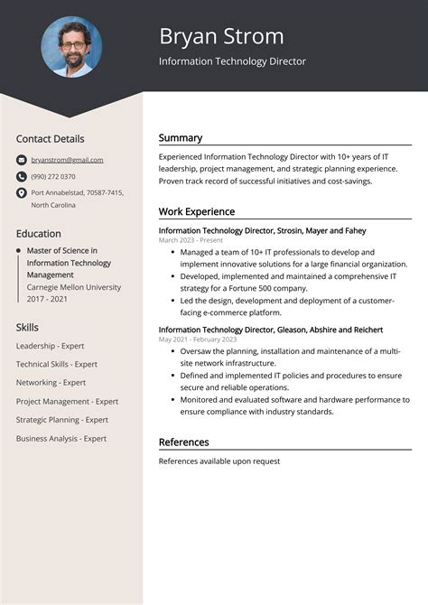 Information Technology Director Resume Example Free Guide