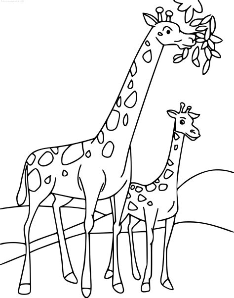 Coloriage à Imprimer Girafe 3
