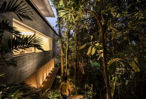 Jungle House By Studio Mk27 Emerging Between The Trees The Strength