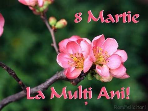 La multi ani de 8 martie! NINA'S RECIPES.....: HAPPY WOMEN'S DAY - LA MULTI ANI DE 8 ...