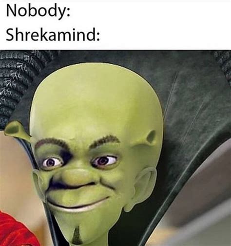 Pin By Yayayadogs On Shrek Shrek Funny Really Funny Memes Funny