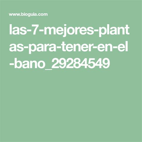 Las 7 Mejores Plantas Para Tener En El Bano29284549 Que Te Mejores
