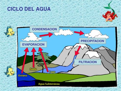Ppt Bienvenido Al Ciclo Del Agua Powerpoint Presentation Free