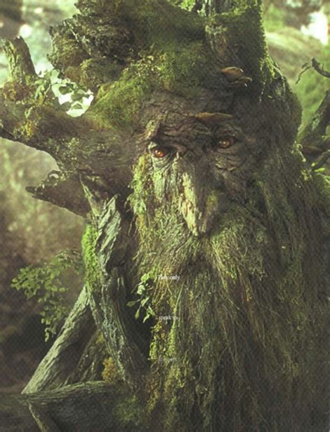 Ent From Lotr Lord Of The Rings Treebeard The Hobbit