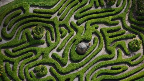 Bing Hd Wallpaper Jun 19 2019 Glendurgan Garden Hedge Maze Is 186