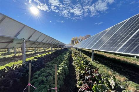 This Colorado Solar Garden Is Literally A Farm Under Solar Panels Solar Panels Solar Farm