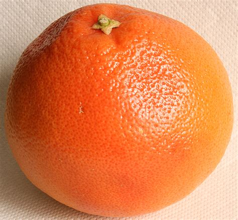Filegrapefruit 2008 3 3