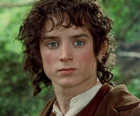 Frodo Baggins The One Wiki To Rule Them All Fandom