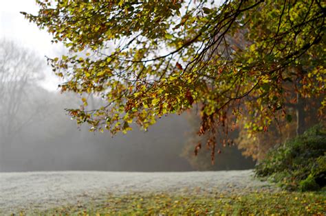 5 Top Autumn Garden Photography Tips And Ideas Ephotozine