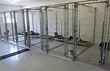 Kennel Beds For Dogs Pictures