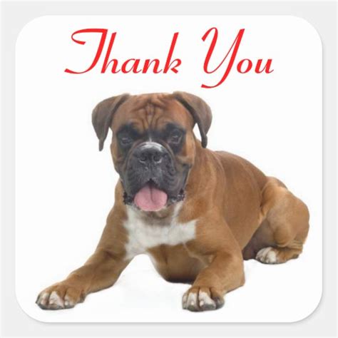Puppies Thank You Top 10 Images Of Dogs Saying Thank You It Is