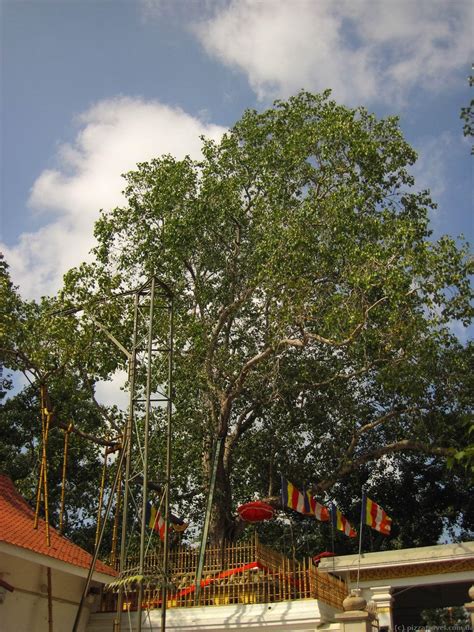 Anuradhapura Sri Lanka Blog About Interesting Places