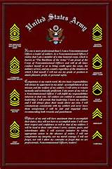 Officer Ranks In The Army