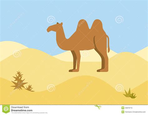Camel Desert Habitat Flat Design Cartoon Vector Wild Animals Stock