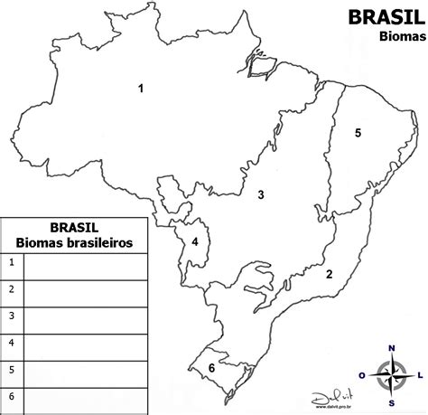 Mapa Biomas Brasileiros Para Colorir
