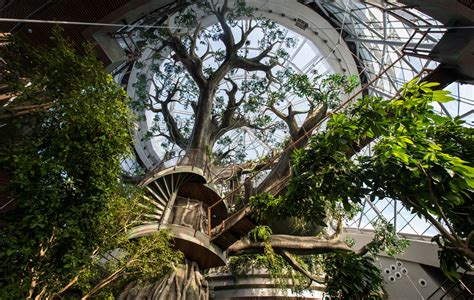 People are essential to biophilic design says Interface designer, David