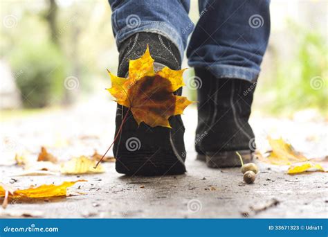 autumn leaf on the shoe concept stock image image of active nature 33671323