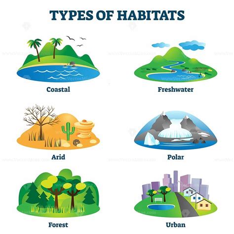 Types Of Habitats Vector Illustration Habitats Ecosystems Biomes