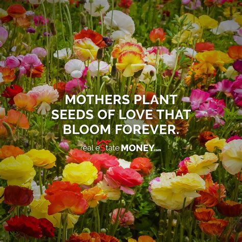 Mothers Plant Seeds Of Love That Bloom Forever Mother Plant Planting