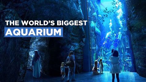 Abu Dhabi Is Building The Worlds Largest Aquarium