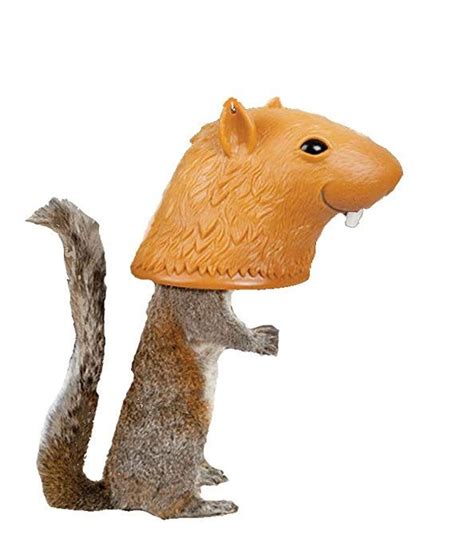Toy Game Accoutrements Super Big Head Squirrel Feeder With A Goofy