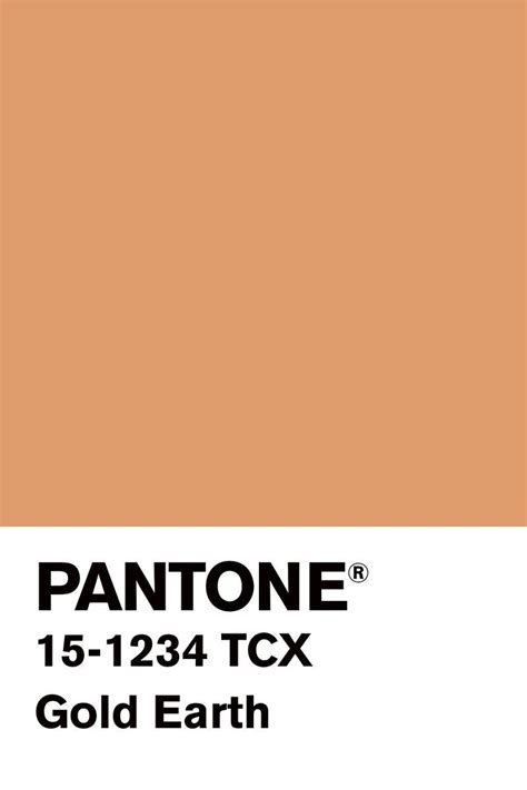 H N N H On With Images Pantone Colour Palettes Orange Color