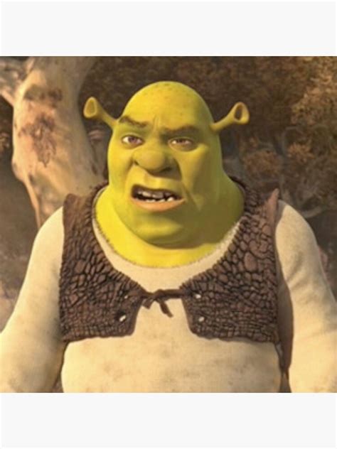 The Best 11 Shrek Meme Face Confused Modlinkesz