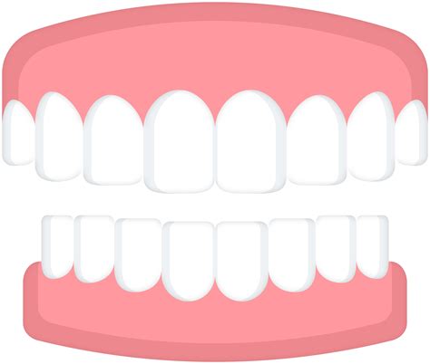Tooth Fairy Svg Tooth Svg Tooth Clipart Clip Art Library