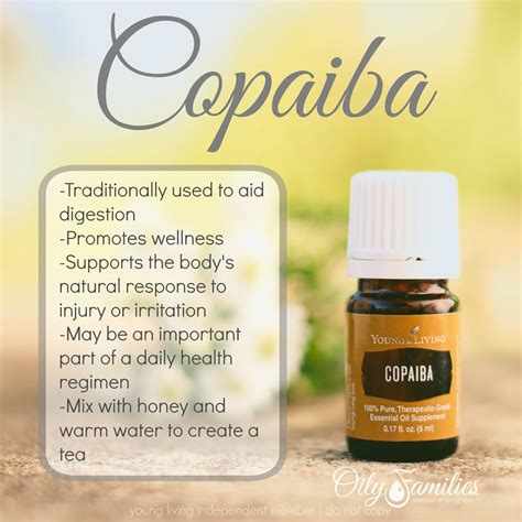 While copaiba is not as popular as perhaps lavender or peppermint oil, it is a powerful addition to your essential oils library. Discover Essential Oils for Beginners - Webinar Notes - My ...