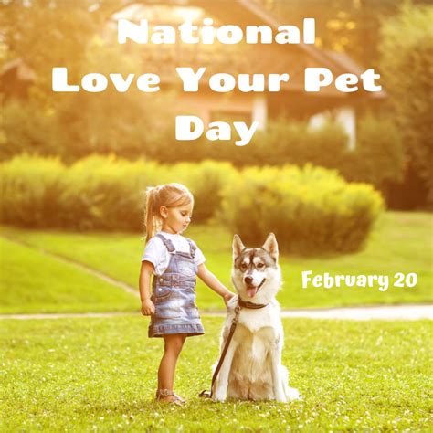 National Love Your Pet Day Is February 20 Orthodontic Blog