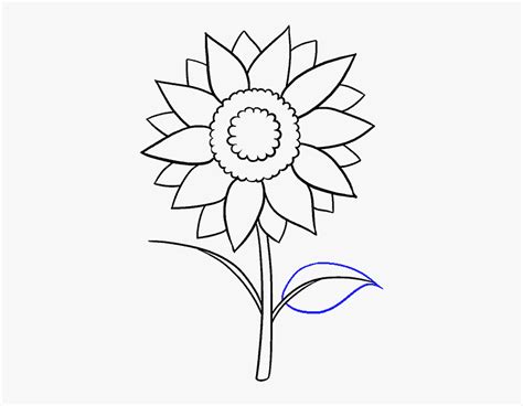 How To Draw Sunflower Aesthetic Sunflower Drawing Easy