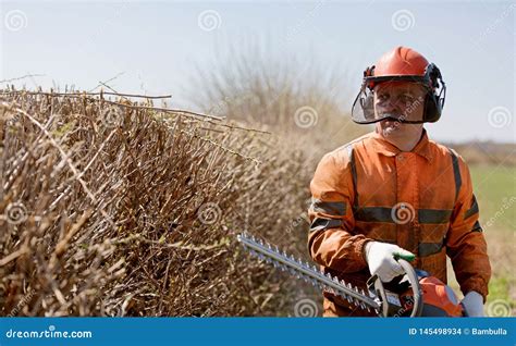 Landscaper Man Worker In Uniform With Hedge Trimmer Equipment During