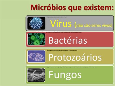 O primeiro tem um organismo celular e o vírus tem dna ou rna, disse. Micróbios