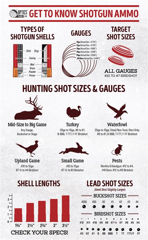 Understanding Shotgun Shells How To Choose Shotshells