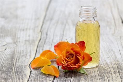 Bath Oil And Orange Rose Stock Photo Image Of Natural 49834512