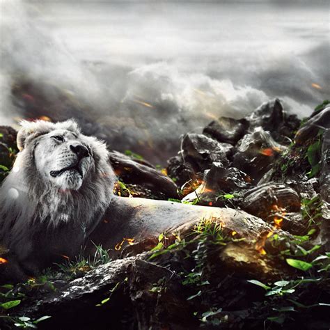 2932x2932 Jungle Lion Creative Ipad Pro Retina Display Hd 4k Wallpapers